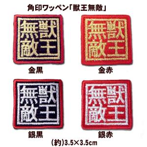 阪神 タイガース 井坪陽生 ネーム 白 応援 刺繍 ワッペン