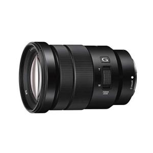 F4 G 18-105mm SELP18105G PZ