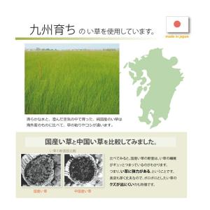 【メーカー直送】イケヒコ キッチンマット 国産...の詳細画像3