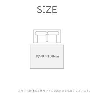 【メーカー直送】イケヒコ ラグ 洗える シェニ...の詳細画像3