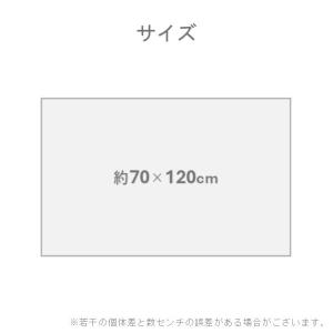 【メーカー直送】イケヒコ 玄関マット 室内用 ...の詳細画像3