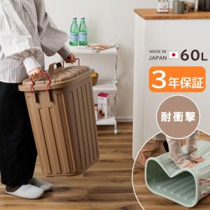 AZUMAYA(東谷) ゴミ箱 屋外 室内 大容...の商品画像