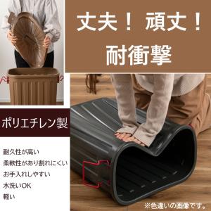 AZUMAYA(東谷) ゴミ箱 屋外 室内 大...の詳細画像2