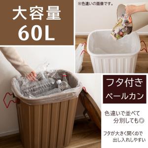 AZUMAYA(東谷) ゴミ箱 屋外 室内 大...の詳細画像4