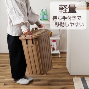 AZUMAYA(東谷) ゴミ箱 屋外 室内 大...の詳細画像5