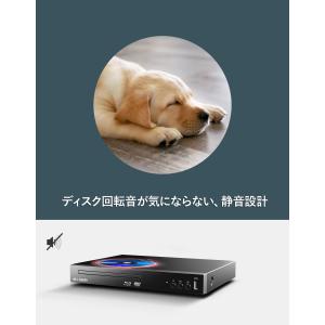 <新発売>ダイニチ電子 国内メーカー Ms C...の詳細画像5