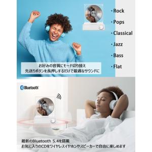 ダイニチ電子 国内メーカー Ms CORTE ...の詳細画像4