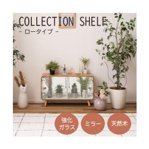 AZUMAYA(東谷) コレクションケース ロータイプ 2段 可動棚 強化ガラス