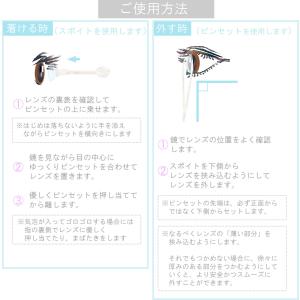 【5セット】 ソフト コンタクトレンズ 専用 ...の詳細画像1