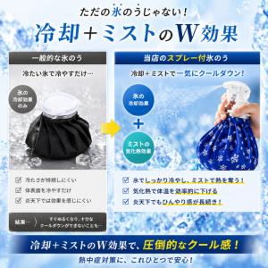 氷のう 氷嚢 スプレー 付き アイスバッグ 熱...の詳細画像2
