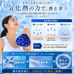 氷のう 氷嚢 スプレー 付き アイスバッグ 熱...の詳細画像3