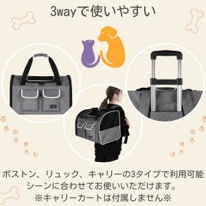 ペットキャリーバッグ リュック型 折りたたみ ...の詳細画像2
