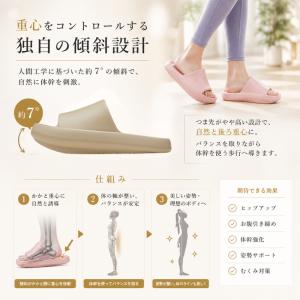 体幹を鍛えるスリッパ 体幹スリッパ トレーニン...の詳細画像2