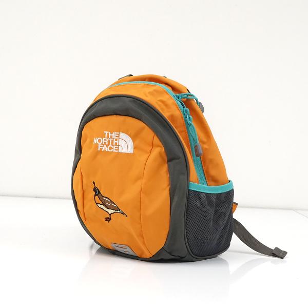 THE NORTH FACE ザ・ノース・フェイス キッズリュック USED美品 8L NMJ723...