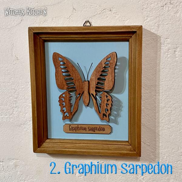 アートフレーム  butterfly display・蝶の標本箱 アオスジアゲハ  作家 ハンドメイ...