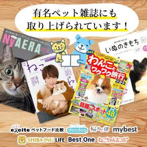 犬 目 サプリ 犬 目 サプリメント ブルーベ...の詳細画像2