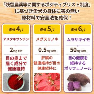 犬 目 サプリ 犬 目 サプリメント ブルーベ...の詳細画像5