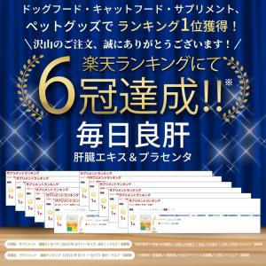 犬 猫 肝臓 サプリメント 肝臓加水分解物 プ...の詳細画像1