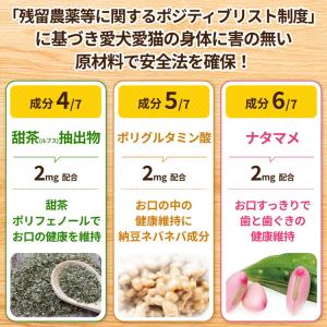 犬 猫 お口 サプリメントラクトフェリン KT...の詳細画像5