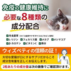 猫 免疫 サプリメント 冬虫夏草(カイコ由来サ...の詳細画像3