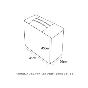 収納袋 座布団収納 毛布収納 クッションになる...の詳細画像2