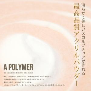 アクリルリキッド アクリルパウダー スカルプブ...の詳細画像4