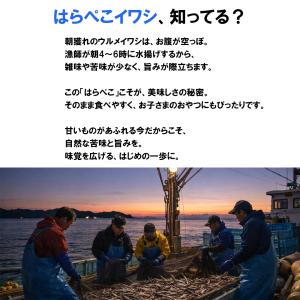 いわし はらぺこイワシ うるめいわし ウルメイ...の詳細画像4