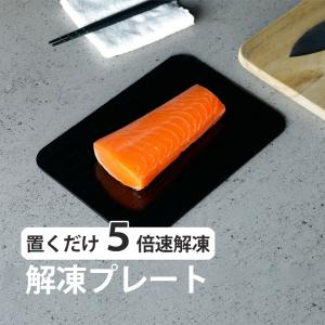 解凍プレート 急速解凍 粗熱取り 解凍皿 解凍板 解凍 プレート 粗熱 正規品 アルミ 肉 ホタテ 解凍まな板 自然解凍プレート 冷凍食品 急速 最速 食品解凍 肉