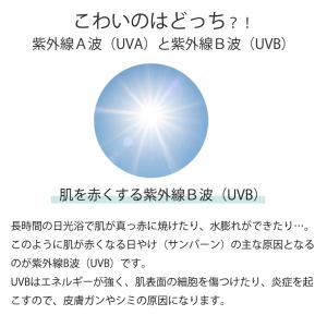 【先着順オマケプレゼント】折りたたみ傘 日傘 ...の詳細画像4