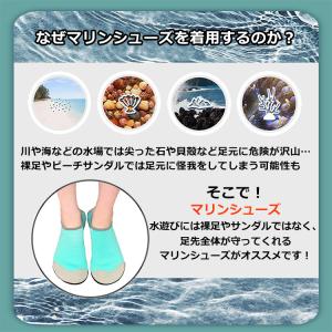 マリンシューズ 水陸両用 男女兼用 ジムシュー...の詳細画像1