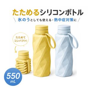 水筒 氷のう ボトル 氷嚢 持ち運び 携帯 シリ...の商品画像
