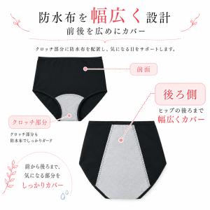 サニタリーショーツ 3枚セット 防水布付きショ...の詳細画像3
