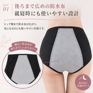 サニタリーショーツ 3枚セット 防水布付きショ...の詳細画像4