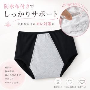 サニタリーショーツ 3枚セット 防水布付きショ...の詳細画像5