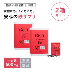鉄サプリ ヘム鉄 3箱セット 葉酸 健康サプリメント 鉄分不足 女性 子供