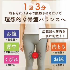 シェイプツインボール フィットネスクラブがつく...の詳細画像2