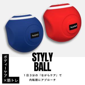 スタイリーボール フィットネスクラブがつくった...の詳細画像2