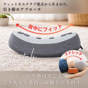 スタイリークッション フィットネスクラブが作っ...の詳細画像2