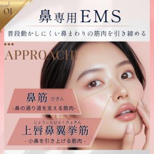 NIPLUX QNose 鼻専用美顔器 正規品...の詳細画像2