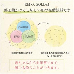 EMXゴールド 10ml 20包入り (パウチ...の詳細画像2