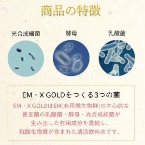 EMXゴールド 10ml 20包入り (パウチ...の詳細画像3