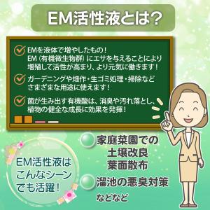 糖蜜 (ネオモラセスト) 1L [有機JAS適...の詳細画像4