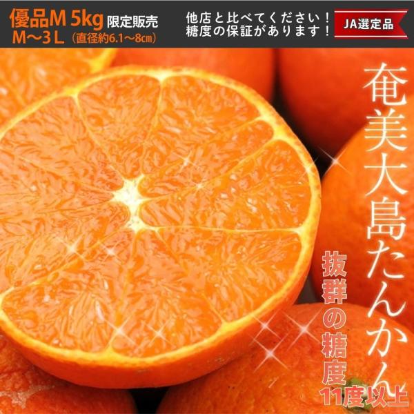 ＜数量限定販売＞最終注文1月中旬まで　優品たんかん 完熟タンカン 奄美大島産 5Kg （1個直径約6...