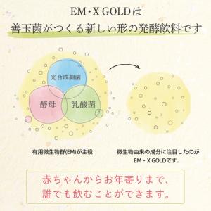 EMX GOLD(イーエムエックスゴールド/E...の詳細画像2