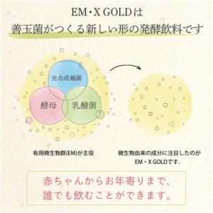 EM生活EMXGOLD500ml 2本セット ...の詳細画像2