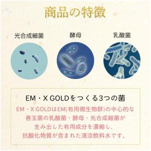 EM生活EMXGOLD500ml 2本セット ...の詳細画像3