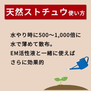 天然ストチュウの詳細画像4
