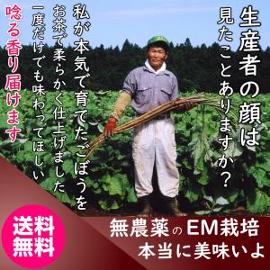 一生に一度だけご賞味あれEM栽培の純国産ごぼう茶 限定