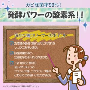 シャボン玉石けん 洗たく槽クリーナー 500gの詳細画像4