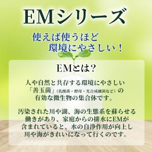 シャボン玉 スノール本体 1000mlの詳細画像5